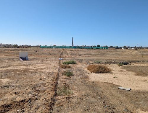 Geothermal Monitoring at KAUST